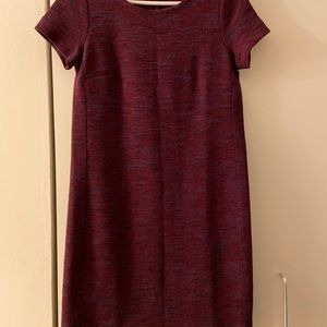 Loft sweater dress
